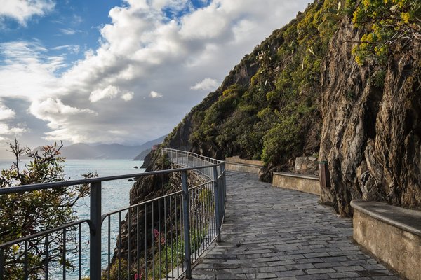 Quel modèle d'écran tactile Dell convient le mieux pour une station de travail interactive ?